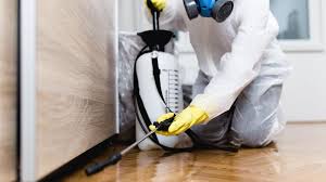 Best Residential Pest Control  in Belle, MO